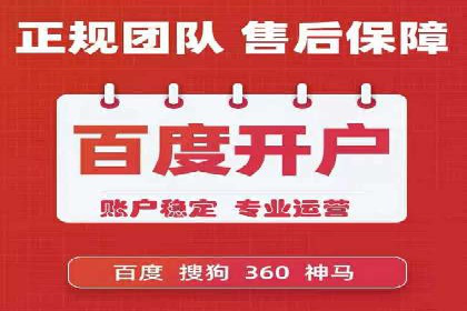 专业网站SEM托管服务案例展示